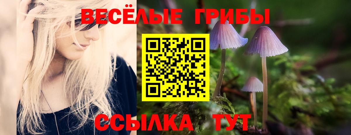 Торжок  Галлюциногенные грибы Psilocybine cubensis  Вход с VPN  Псилоцибиновые грибы Magic Shrooms 